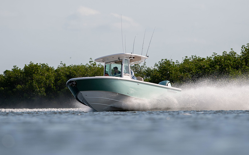 Everglades  273CC