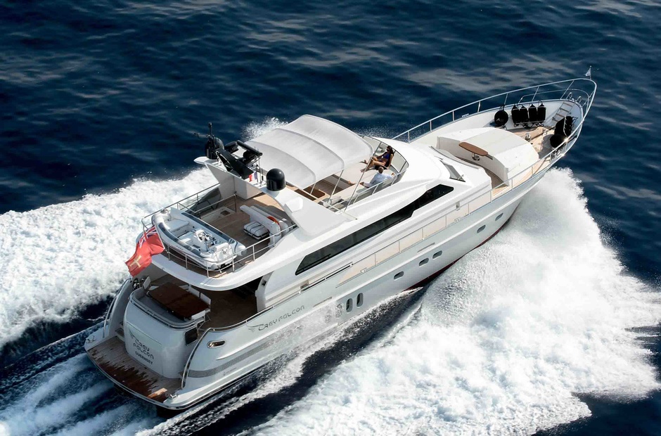 Van der Valk Grey Falcon