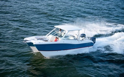 World Cat 296DC