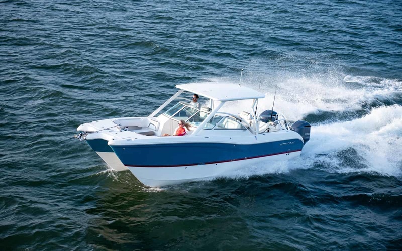 World Cat 296DC