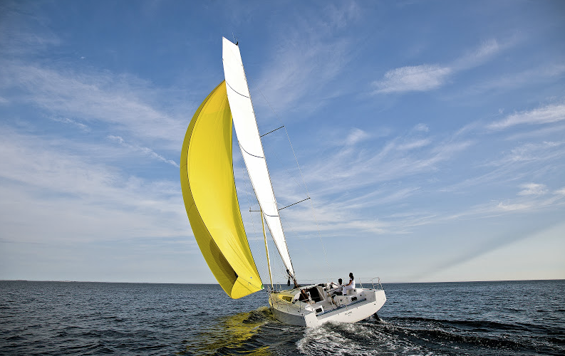 Pogo 12,50