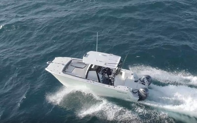 World Cat 260CC-X