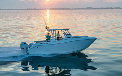 Hysucat 30' Sport Fisher