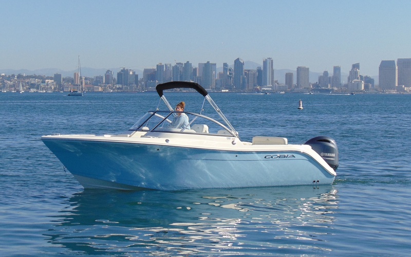 Cobia 220 DC