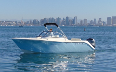 Cobia 220 DC