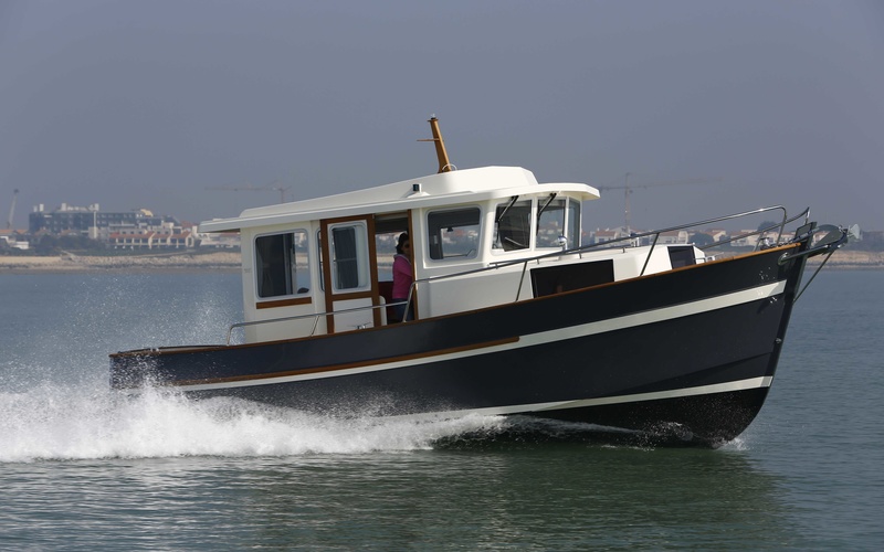 Rhea 30 Evolution
