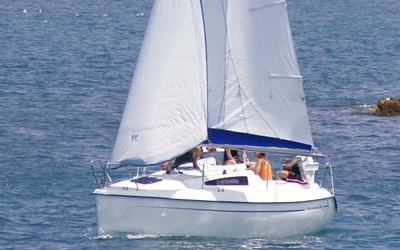 Viko 20
