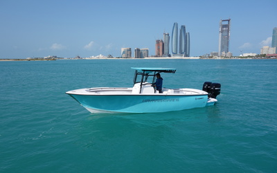 Hayaari H28SF