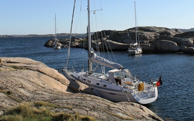 Saare 41ac